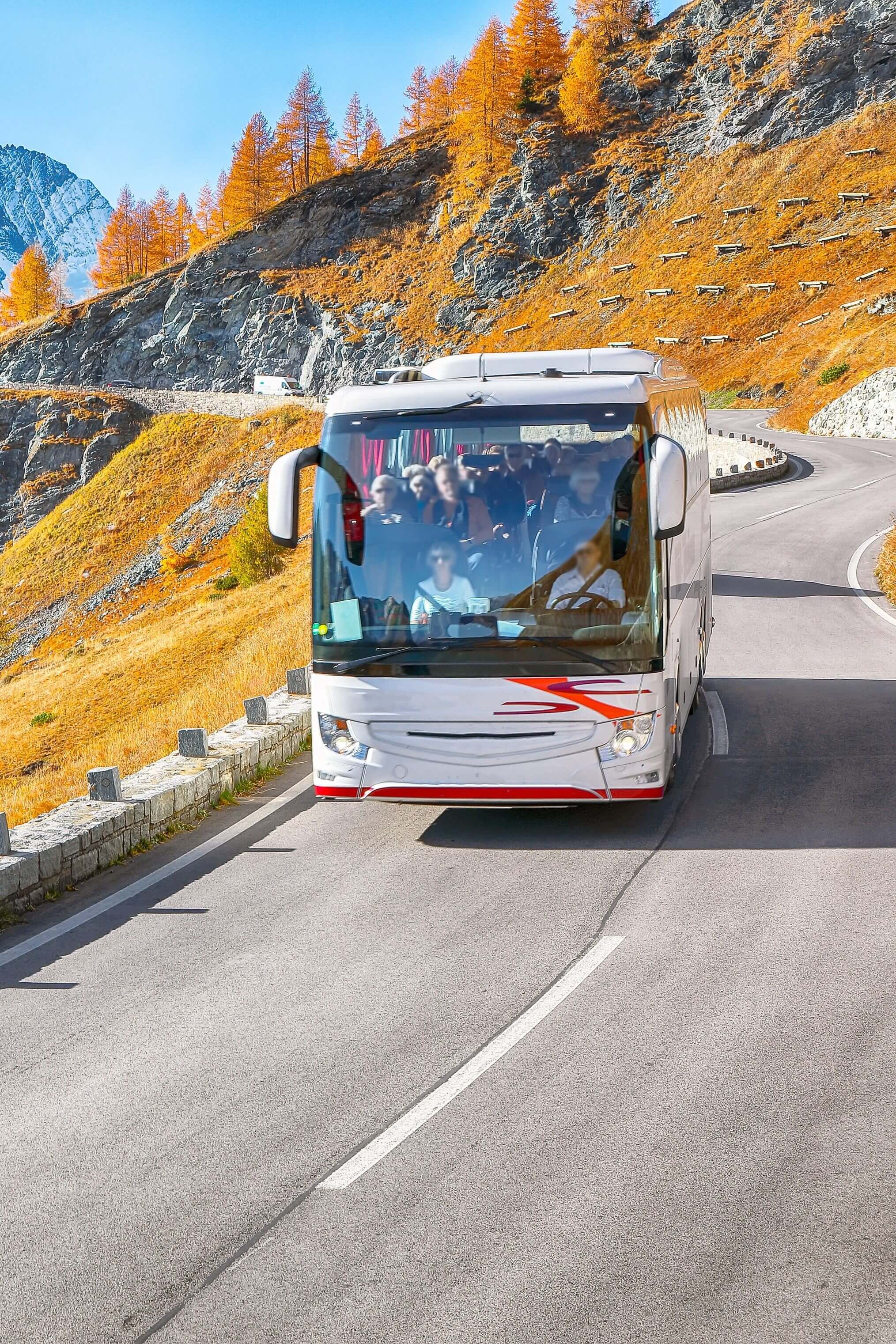 Coach Tours